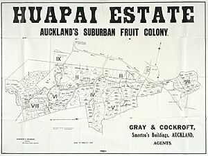 Huapai Estate, Auckland's suburban fruit colony
