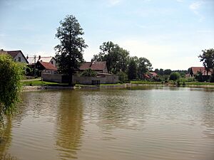 Pond in the centre of Hurtova Lhota