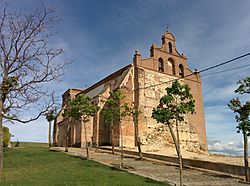 Donvidas Facts for Kids