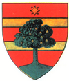 Coat of arms of Județul Mureș