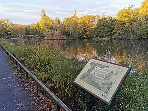 Kelsey Park main lake.jpg