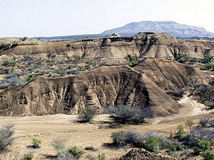Kibish formation area of archaeology dig