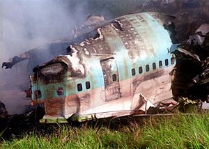 Korean Air Flight 801 wreckage
