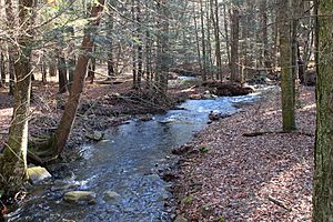 Lick Branch looking downstream
