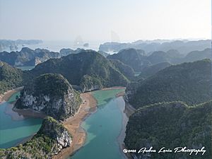 Limestone Cliffs-Halong Bay Vietnam-Andres Larin
