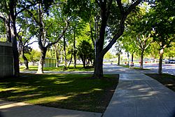 Los Angeles Memorial Coliseum tree-lined entrance