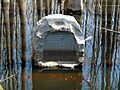 Louisiana Purchase State Park 008