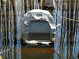 Louisiana Purchase State Park 008
