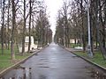 Main alley of the Memorial park (Moscow)
