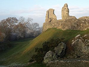 Montgomery Castle - geograph.org.uk - 1117211