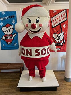 Mr Bon Soo Sault Museum.jpg