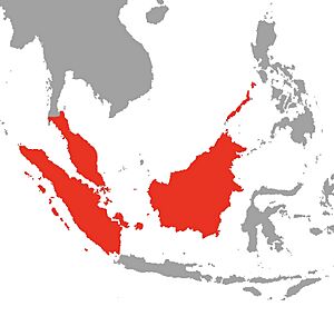 Naja sumatrana Map.jpg
