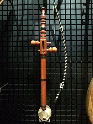National Museum of Ethnology, Osaka - Rabab - Cairo in Egypt - Made in the 1990s