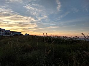Ocean View Norfolk - East Beach