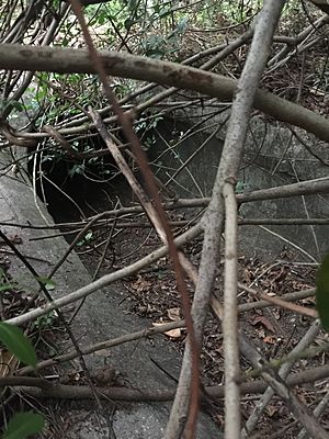 The drain in which Curiosity Creek flows northwards from. In wintertime, this drain is often dry and clogged due to a lack of rainfall in south Florida.