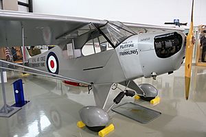 Piper J-3 Flitfire