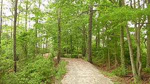 Poquoson, Virginia Museum Marsh Path