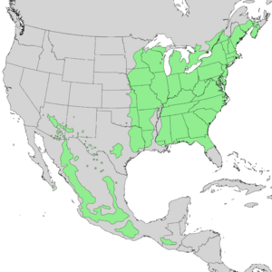Prunus serotina range map 1.png