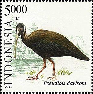 Pseudibis davisoni 2014 stamp of Indonesia