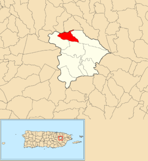 Location of Quebrada Infierno within the municipality of Gurabo shown in red