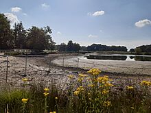 Richmond Park's Upper Pen Pond drained for work on outflow