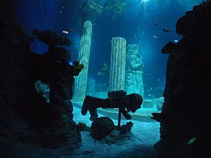 Sea Life Aquarium - Legoland CAlifornia (6497747809)