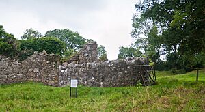 Seir Kieran Round Tower and Priory Wall 2010 09 09