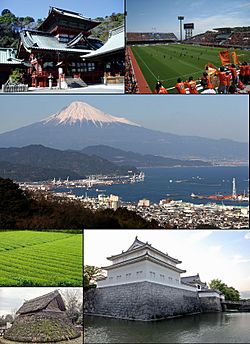Top left: Shizuoka Sengen Shrine; Top right: Nihondaira StadiumMiddle: Mount Fuji & Shimizu Port from NihondairaUpper bottom left green tea fields; Lower bottom left Toro ruins; Bottom right: Tatsumi yagura of Sunpu Castle