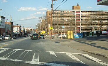 Stapelton houses Staten Island 03 2008