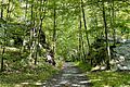 Sussex Branch Trail, Allamuchy Mountain State Park, NJ - railway cutting