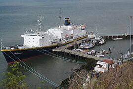 TS Golden Bear