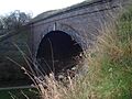 Tame Bridge