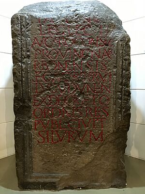 The Silurum Stone (replica)