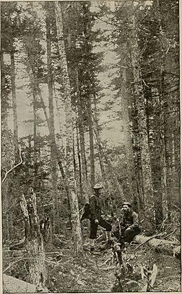 Through the wilds; a record of sport and adventure in the forests of New Hampshire and Maine (1892) (14586633610).jpg