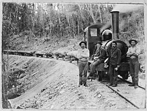 Timber workers by a Johnson steam locomotive, West Coast ATLIB 461129.jpg