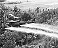 VA002930 Spraying Agent Orange in Mekong Delta near Can Tho