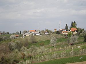 Vučetinec - voćke u cvatu (travanj 2012)