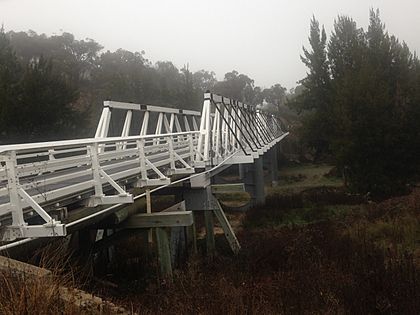 Wallaby Rocks Bridge in 2019.jpg
