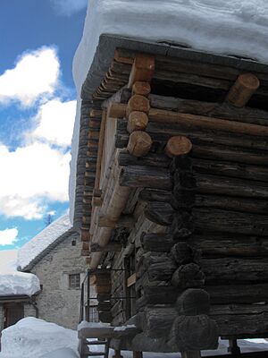 Walser House bosco gurin 20100117 0149 1