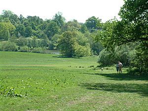 Weald Country Park, Brentwood - geograph.org.uk - 419693