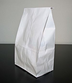 White paper bag on white and black background