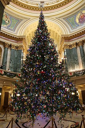 Wisconsin State Capitol Christmas Tree 2017