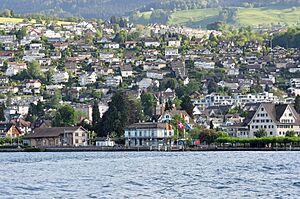 Zürichsee - Richterswil IMG 2661