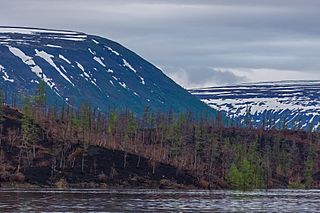 Central Siberian Plateau Facts For Kids   320px Весенние снежники 