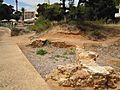 037-The remains of S’Argamassa Roman Fish Farm, Santa Eulalia 21 June 2013