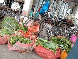 A Bengali woman selling betel leaves at Howrah station
