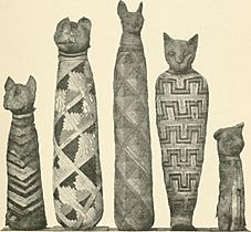A guide to the third and fourth Egyptian rooms - predynastic antiquites, mummied birds and animals, portrait statues, figures of gods, tools, implements and weapons, scarabs, amulets, jewellery, and (14771092033)