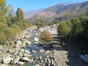 A view of a local river