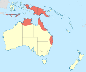 Aciagrion fragilis distribution map AU+PNG.svg
