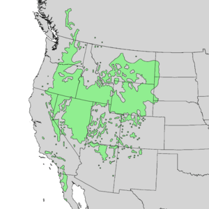 Artemisia tridentata range map 1.png